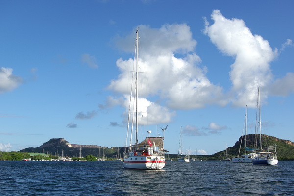 alua-487.jpg